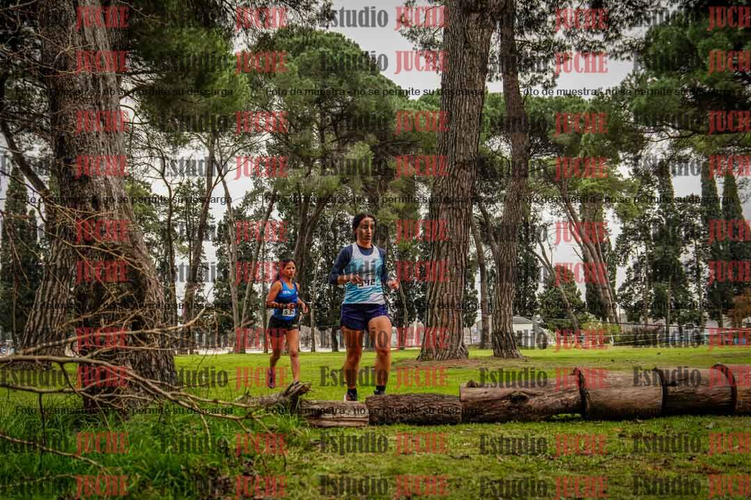 Fotos en el circuito