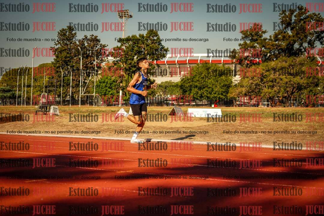 Fotos de los 800 m llanos de varones