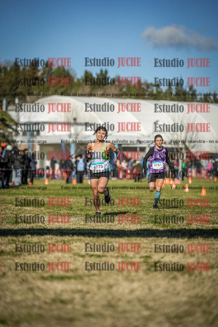 Fotos de las llegadas