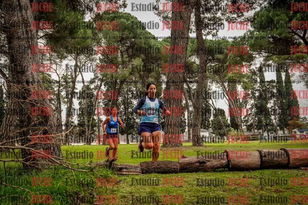 Fotos en el circuito