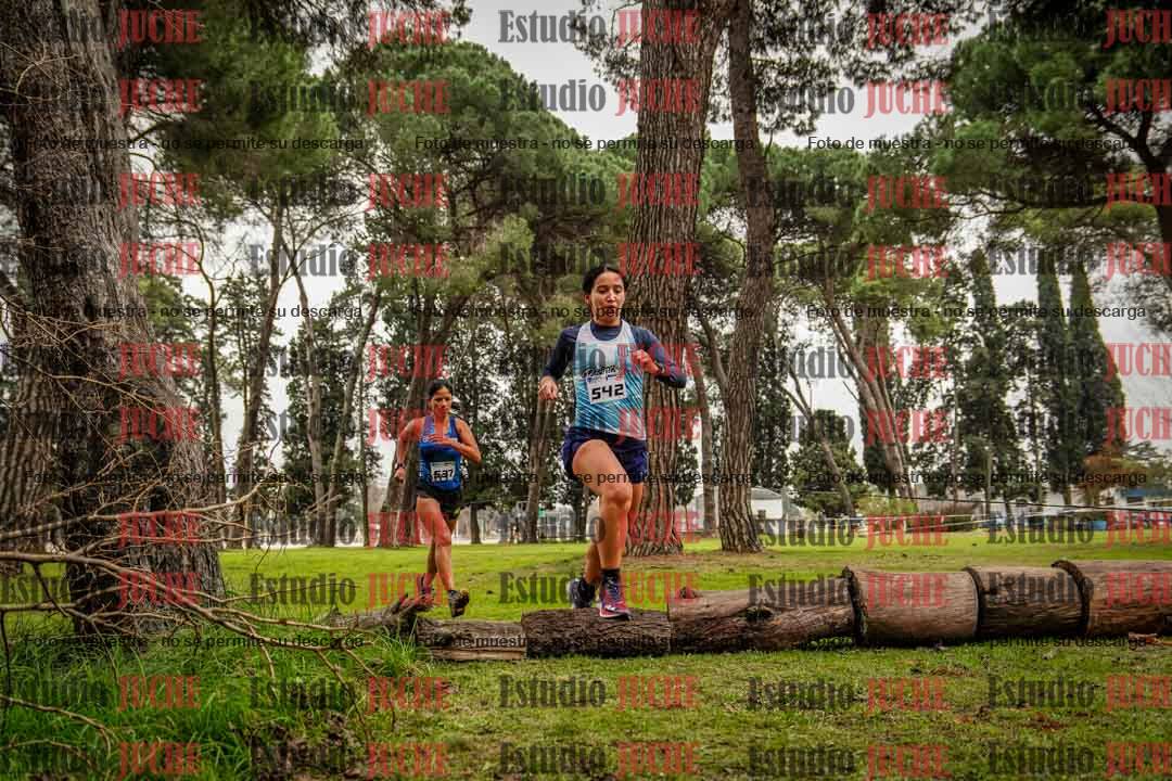 Fotos en el circuito