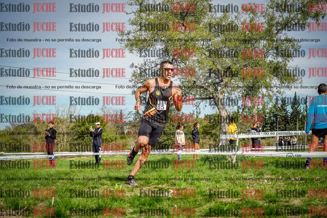 Fotos en el circuito