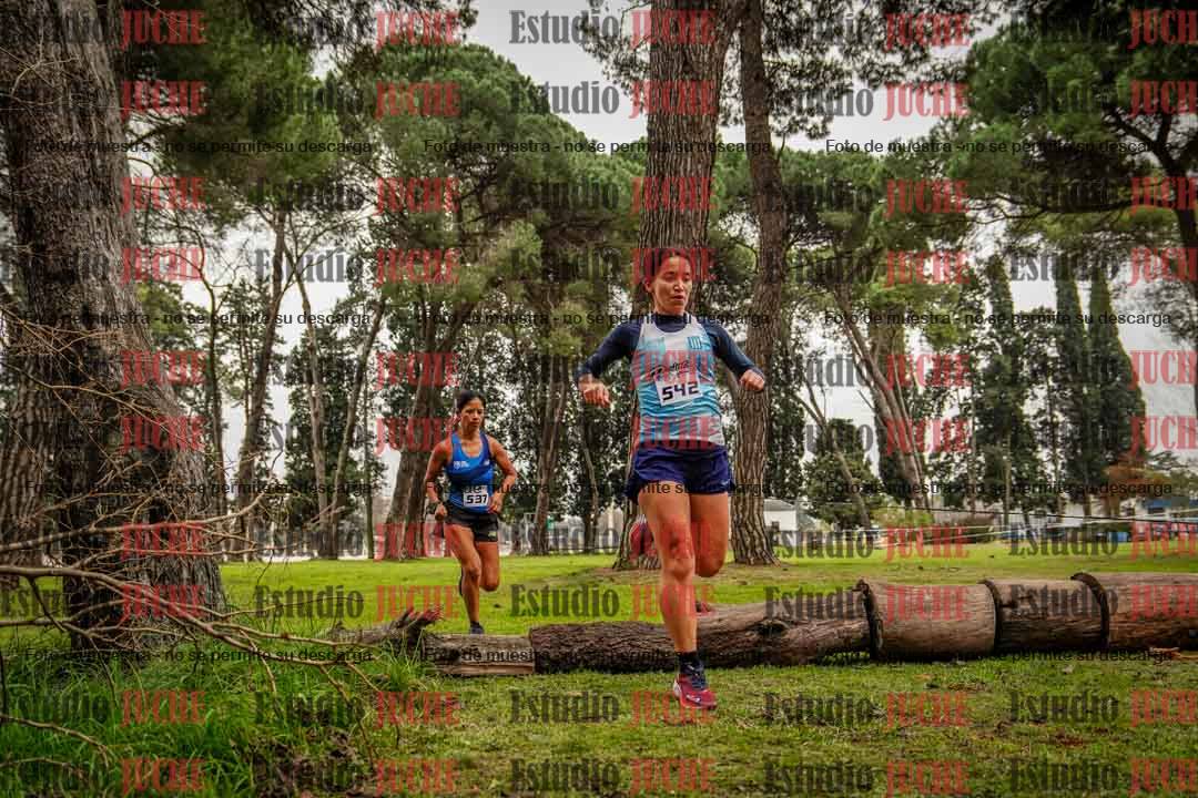 Fotos en el circuito