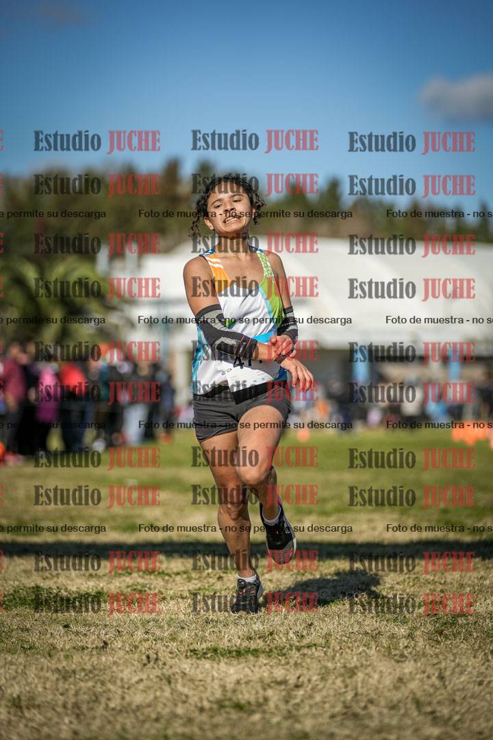 Fotos de las llegadas