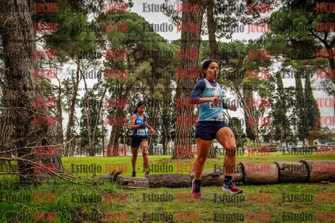 Fotos en el circuito