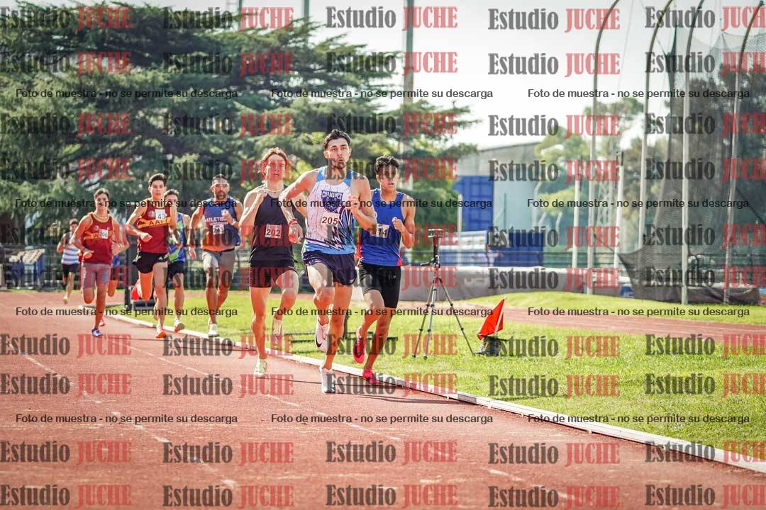 Fotos de los 800 m llanos de varones