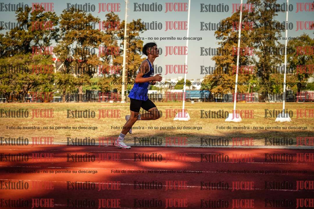 Fotos de los 800 m llanos de varones