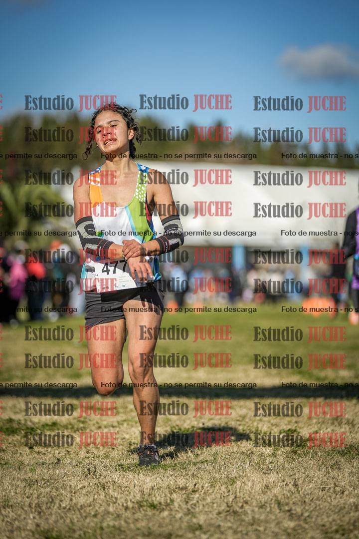 Fotos de las llegadas