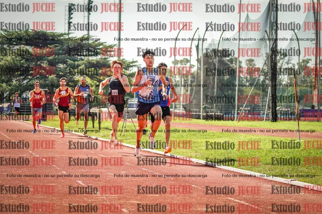 Fotos de los 800 m llanos de varones