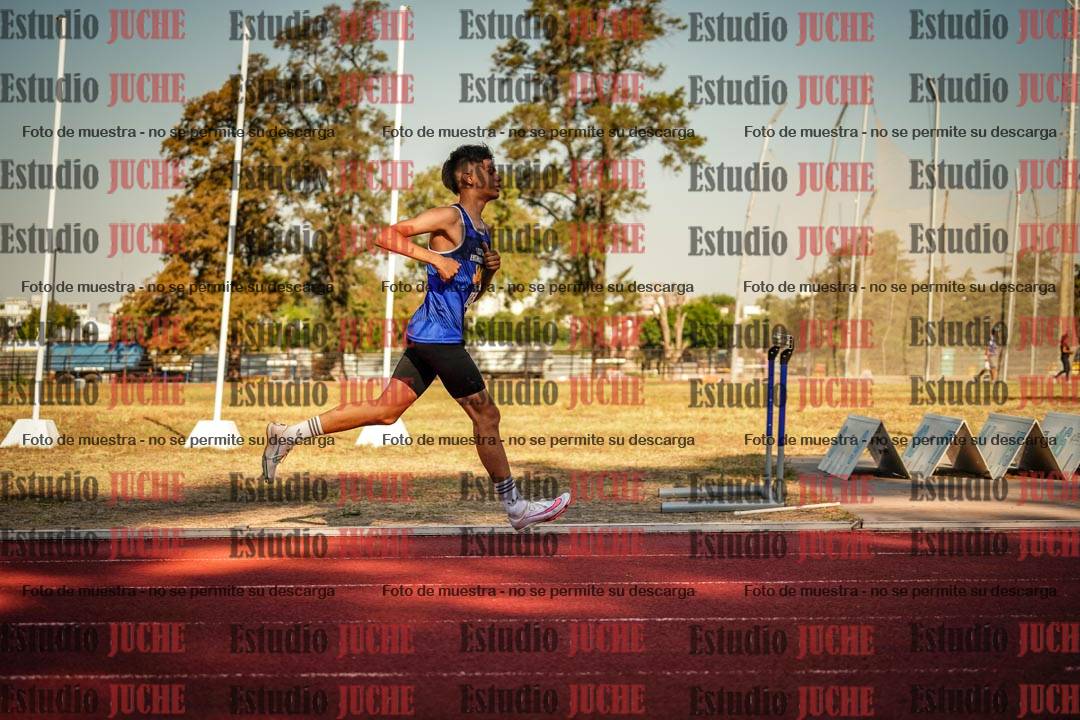 Fotos de los 800 m llanos de varones