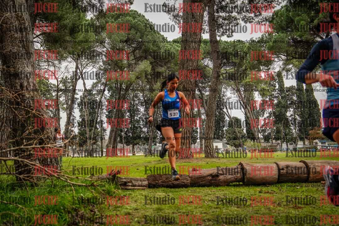 Fotos en el circuito