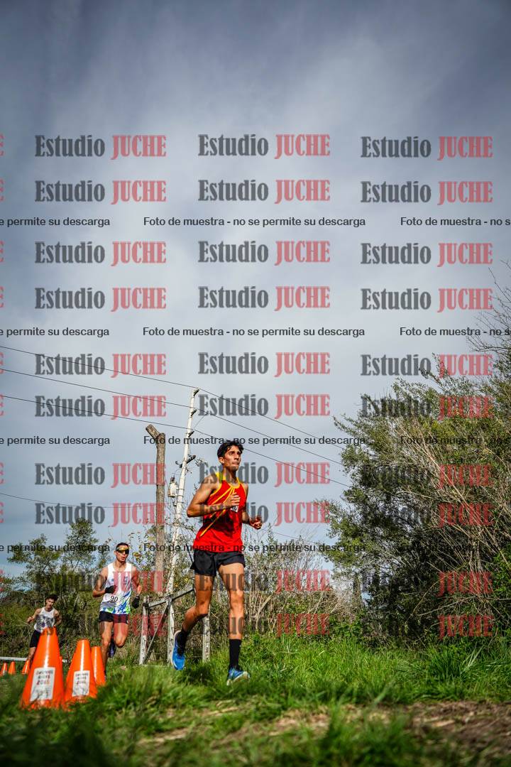 Fotos en el circuito
