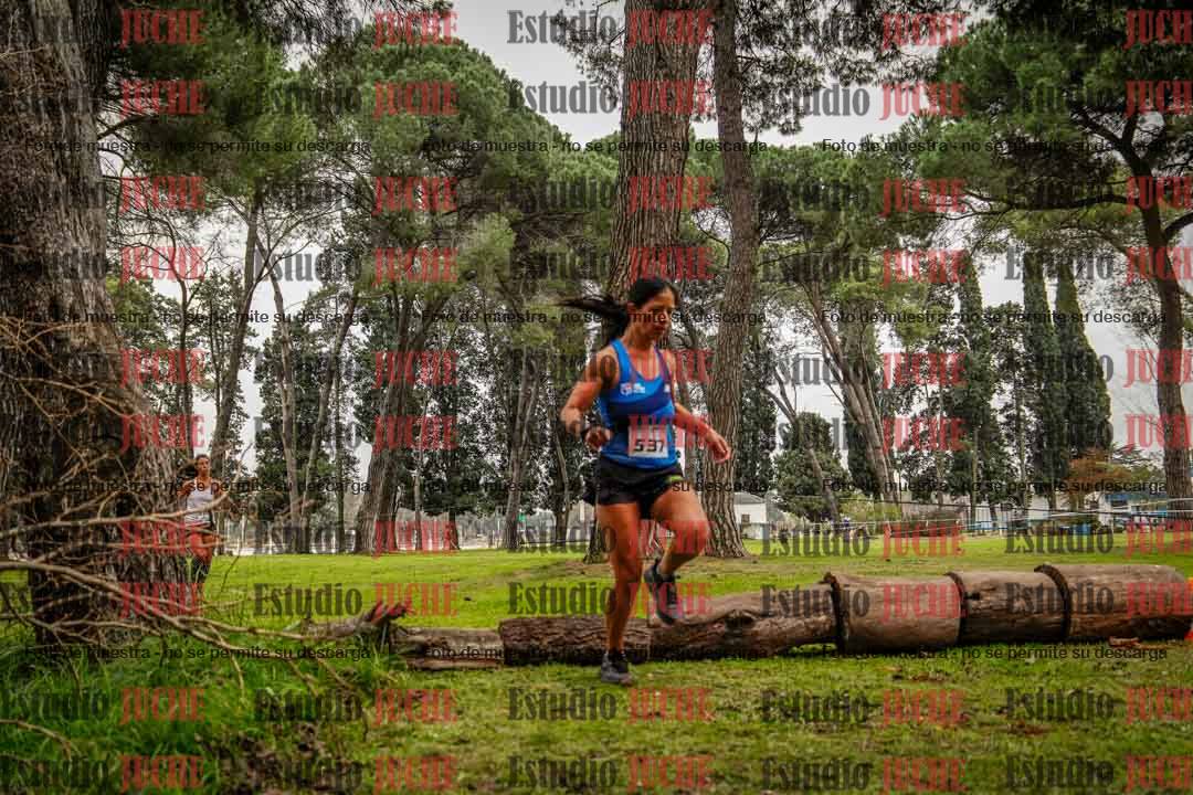 Fotos en el circuito