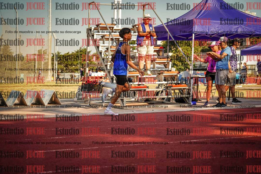 Fotos de los 800 m llanos de varones