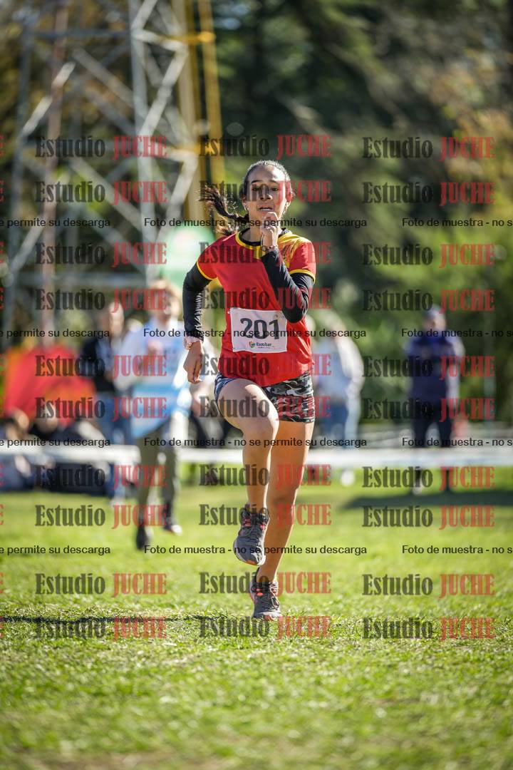 Fotos de la llegada del cross de 1500 m