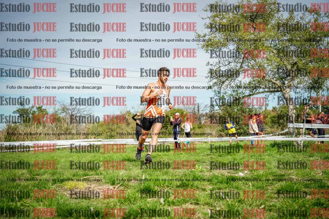 Fotos en el circuito