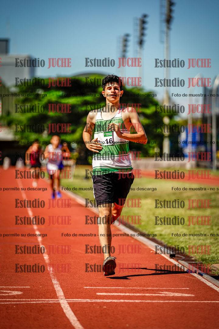 Fotos de los 800 m llanos de varones