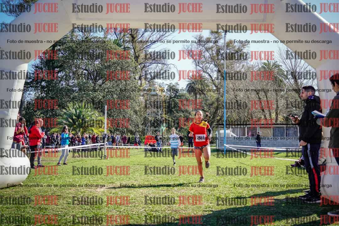 Fotos de la llegada del cross de 1500 m