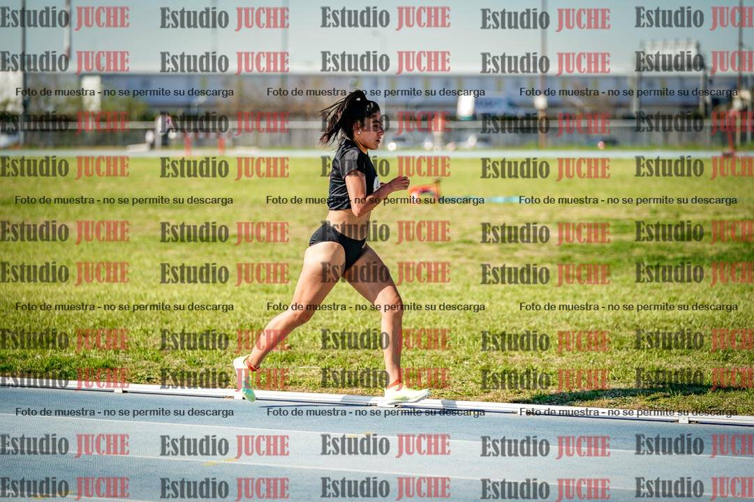 Fotos de los 1500 m llanos de mujeres