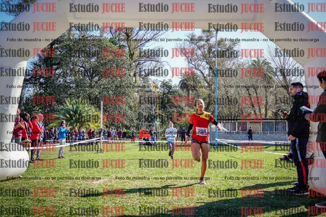 Fotos de la llegada del cross de 1500 m
