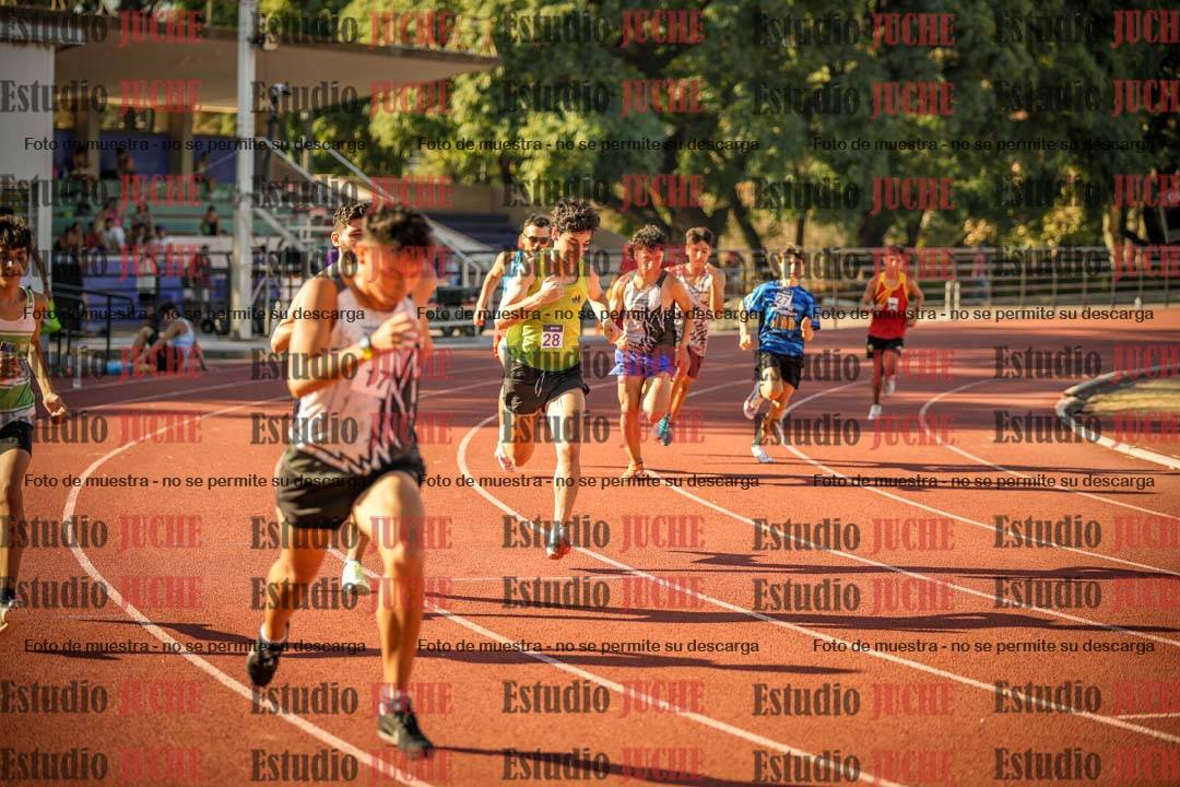 Fotos de los 800 m llanos de varones