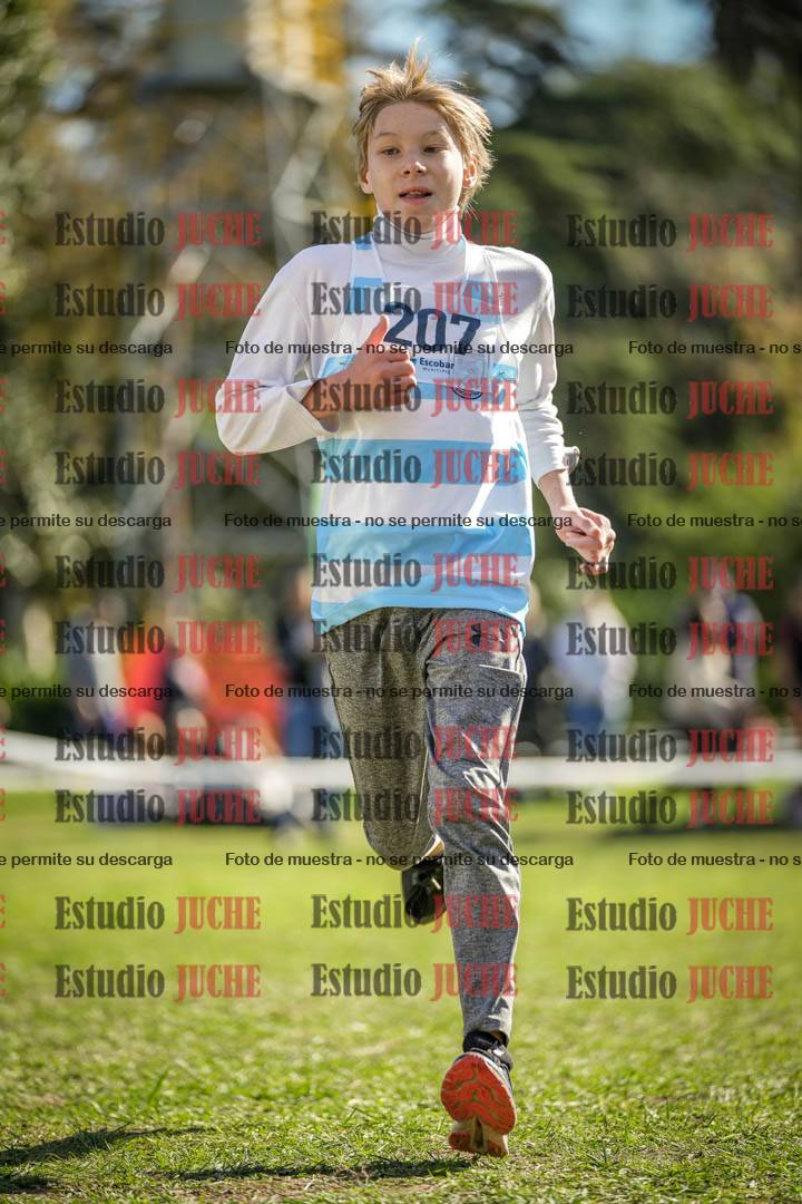Fotos de la llegada del cross de 1500 m