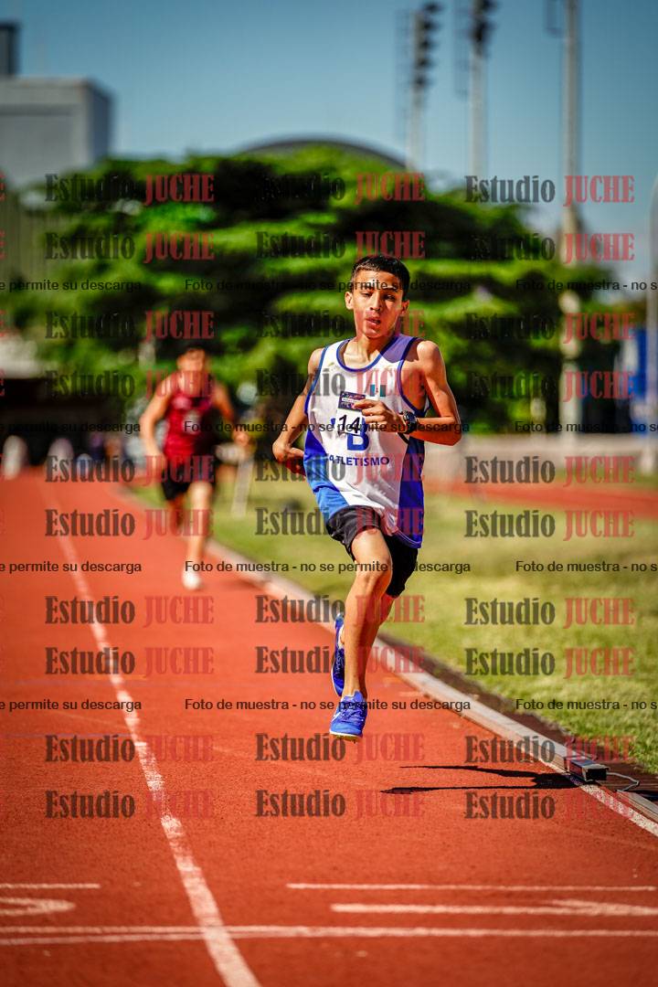 Fotos de los 800 m llanos de varones