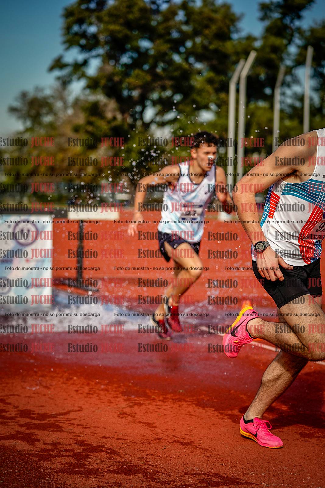 Fotos de los 3000 m con obstáculos de varones