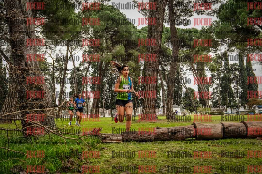 Fotos en el circuito
