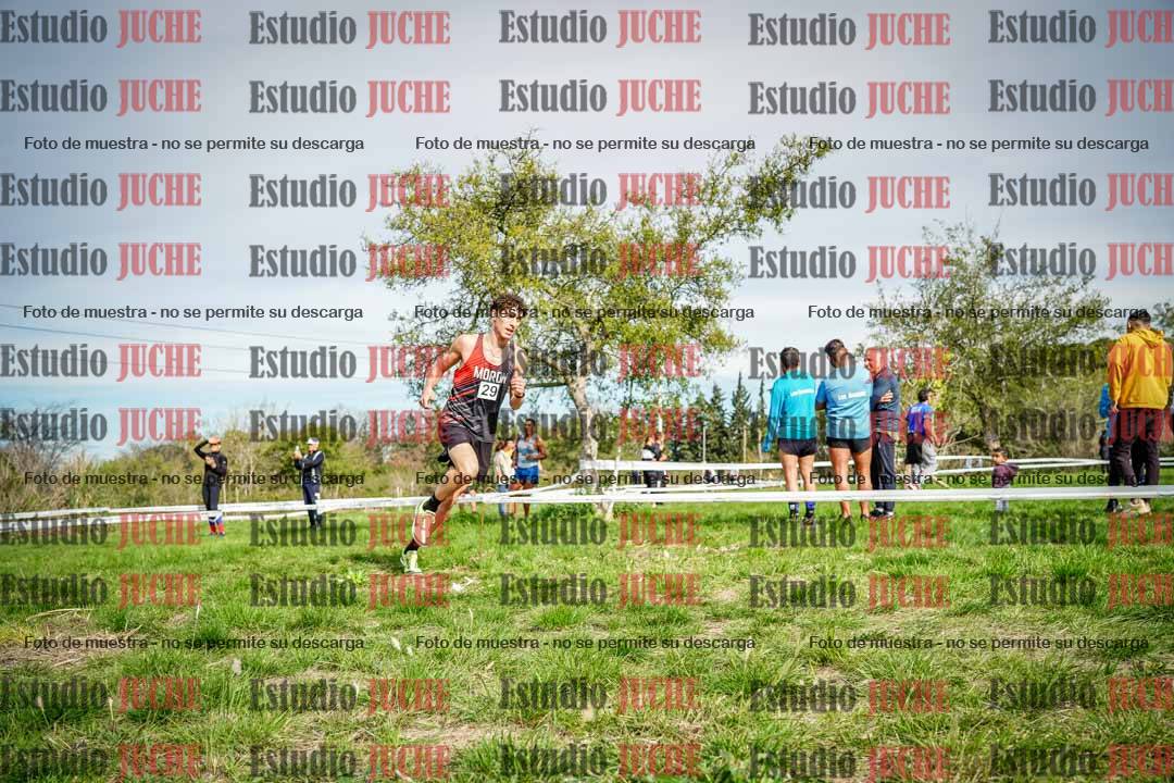 Fotos en el circuito