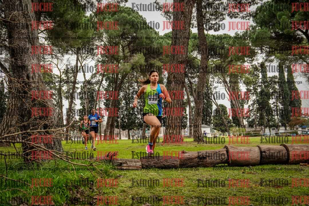 Fotos en el circuito