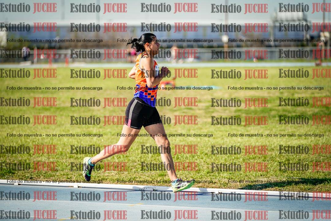 Fotos de los 1500 m llanos de mujeres