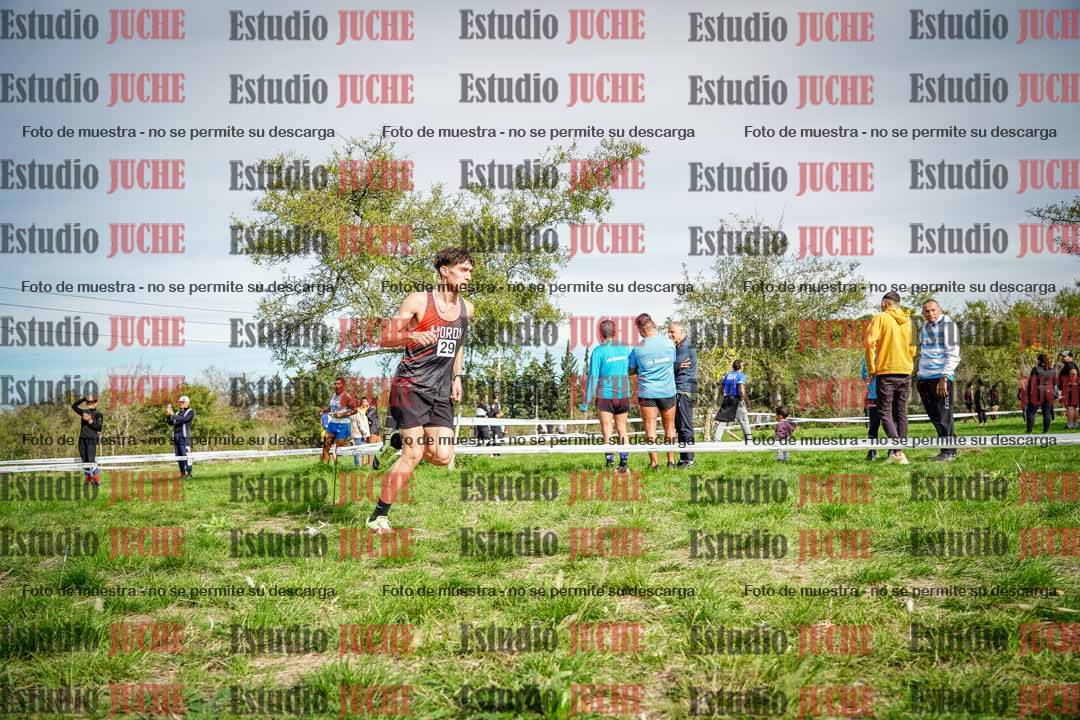 Fotos en el circuito