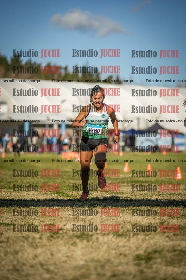 Fotos de las llegadas