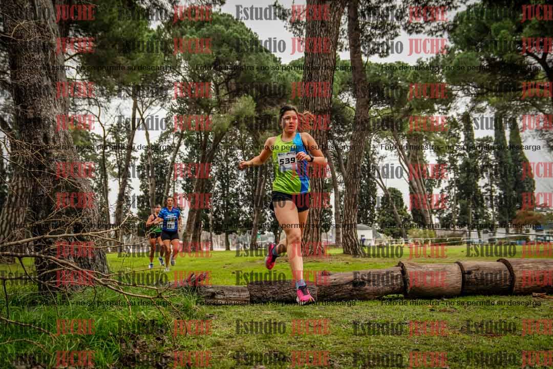Fotos en el circuito