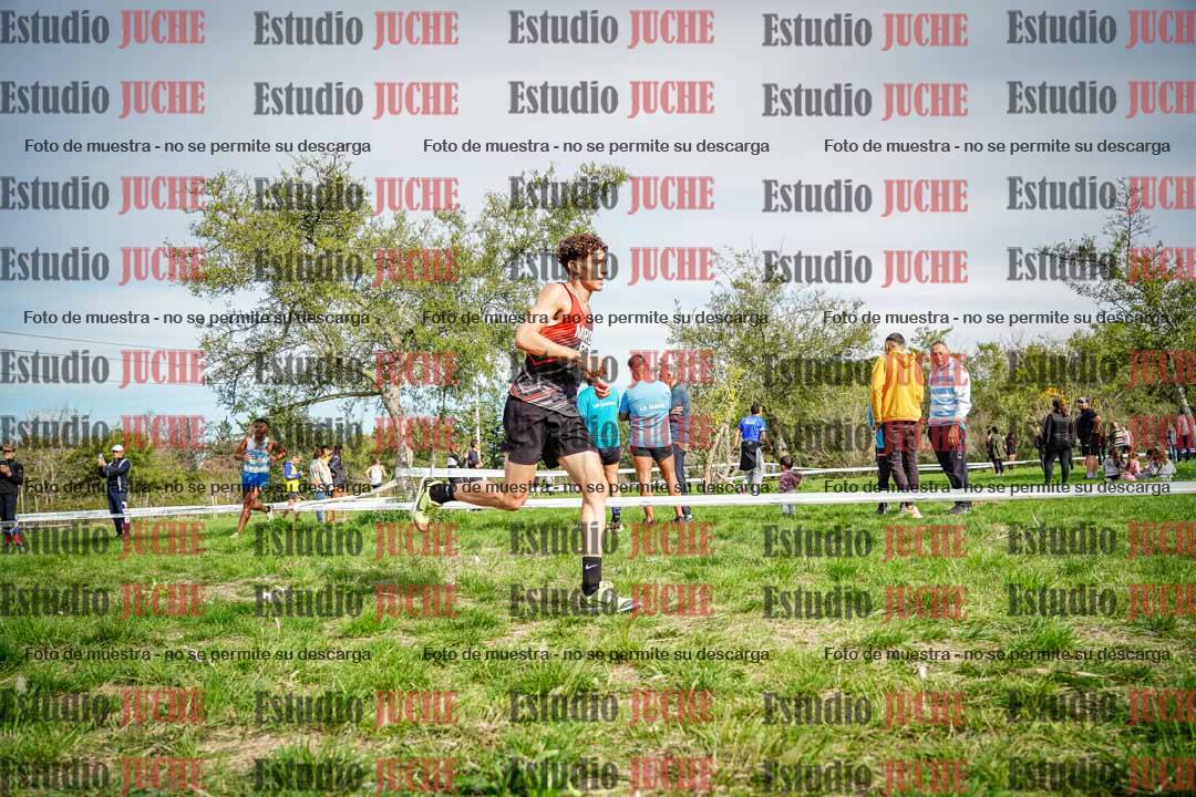 Fotos en el circuito