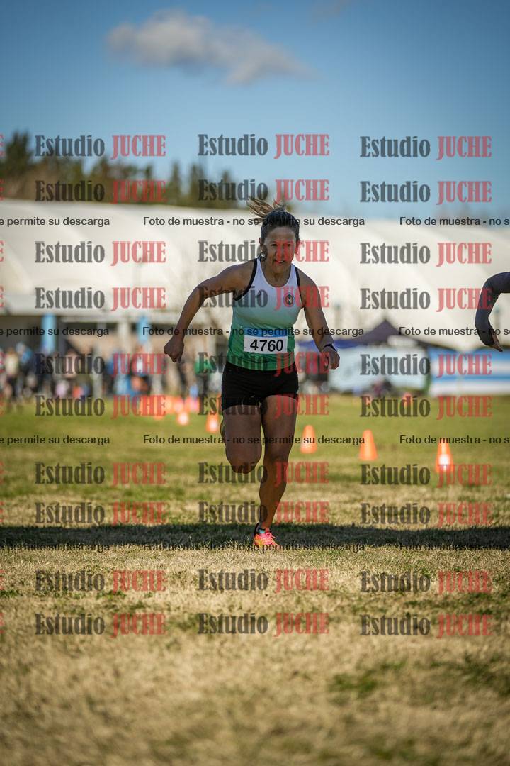 Fotos de las llegadas