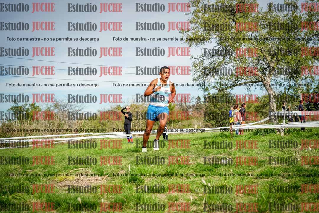 Fotos en el circuito