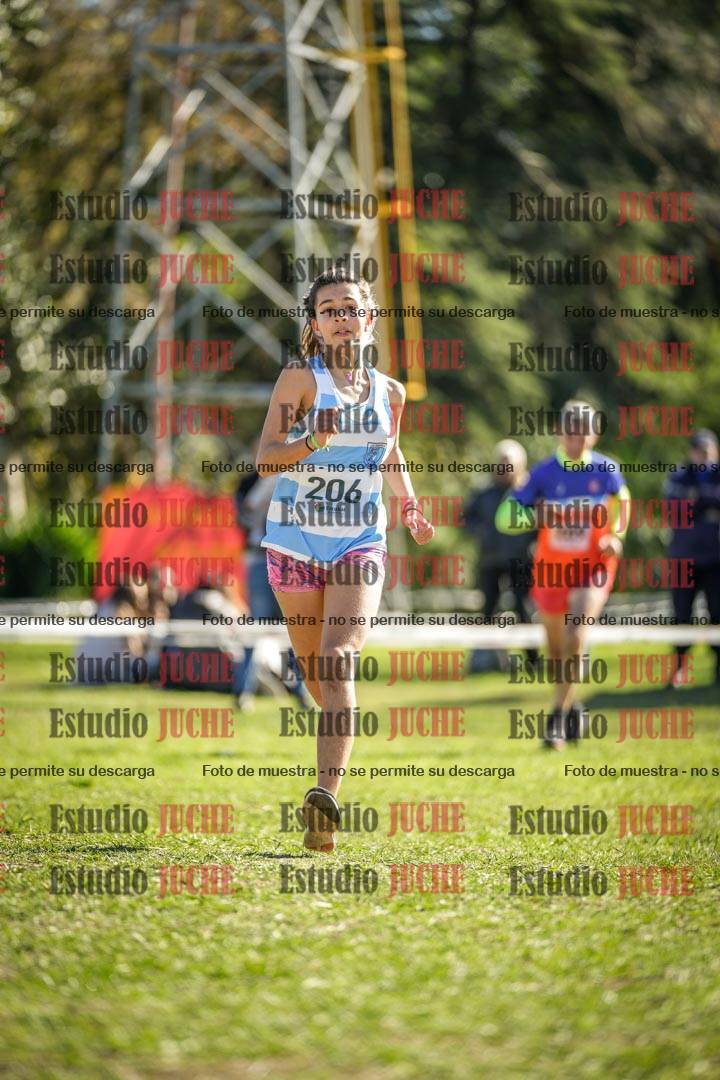 Fotos de la llegada del cross de 1500 m