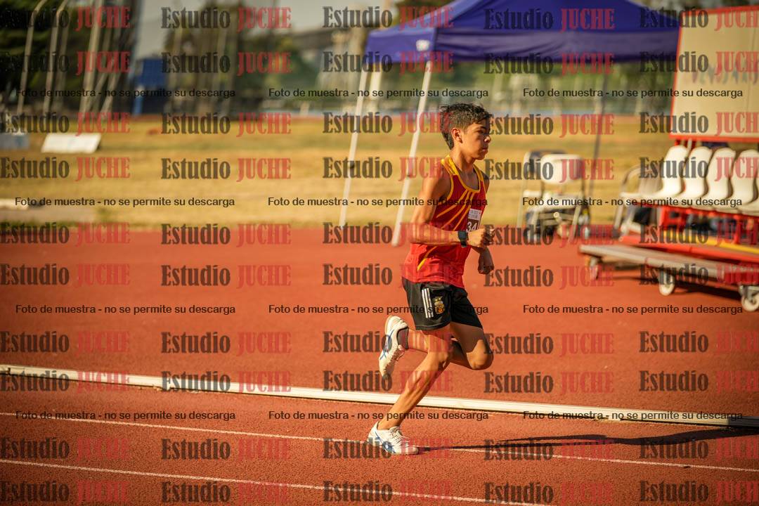Fotos de los 800 m llanos de varones