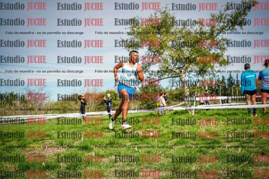 Fotos en el circuito