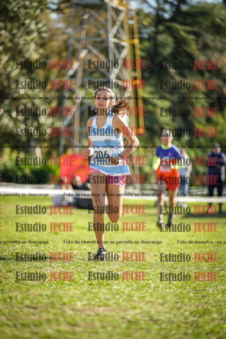 Fotos de la llegada del cross de 1500 m