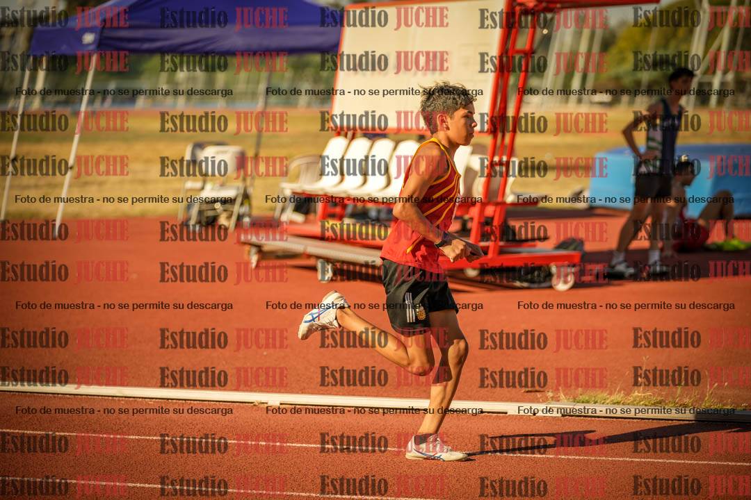 Fotos de los 800 m llanos de varones