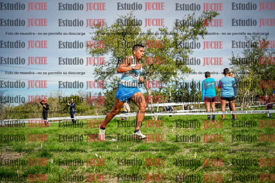 Fotos en el circuito