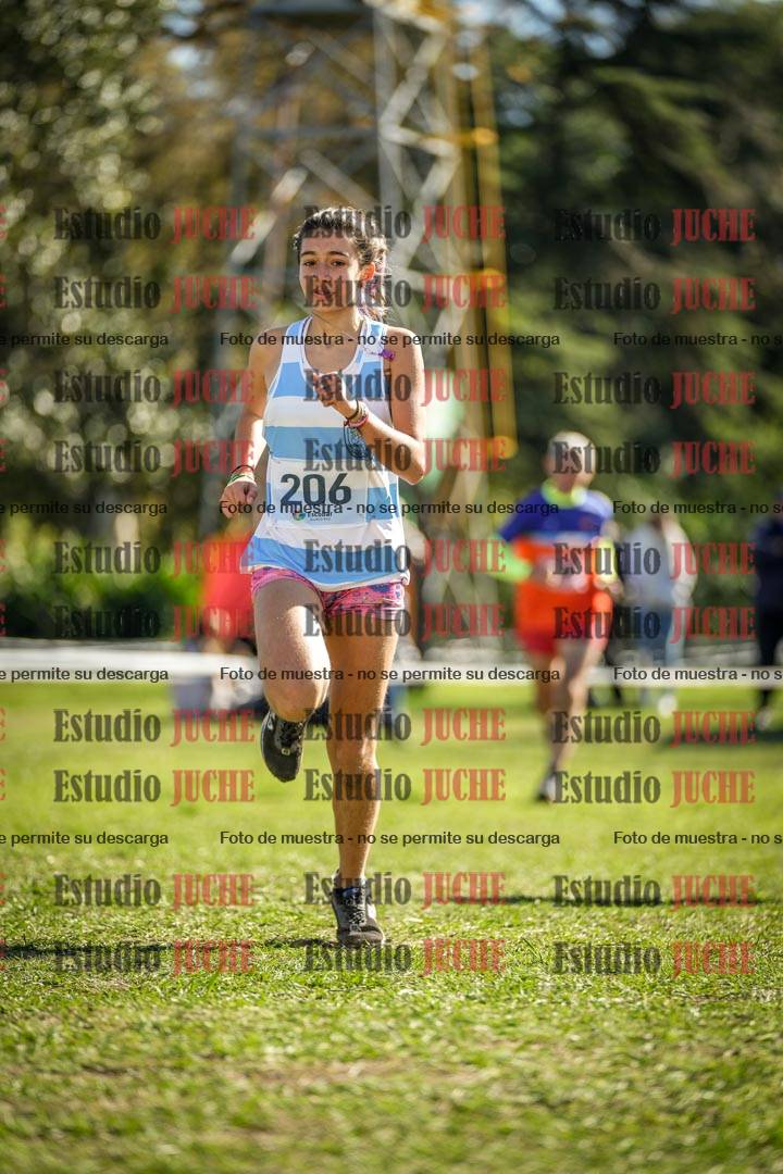Fotos de la llegada del cross de 1500 m