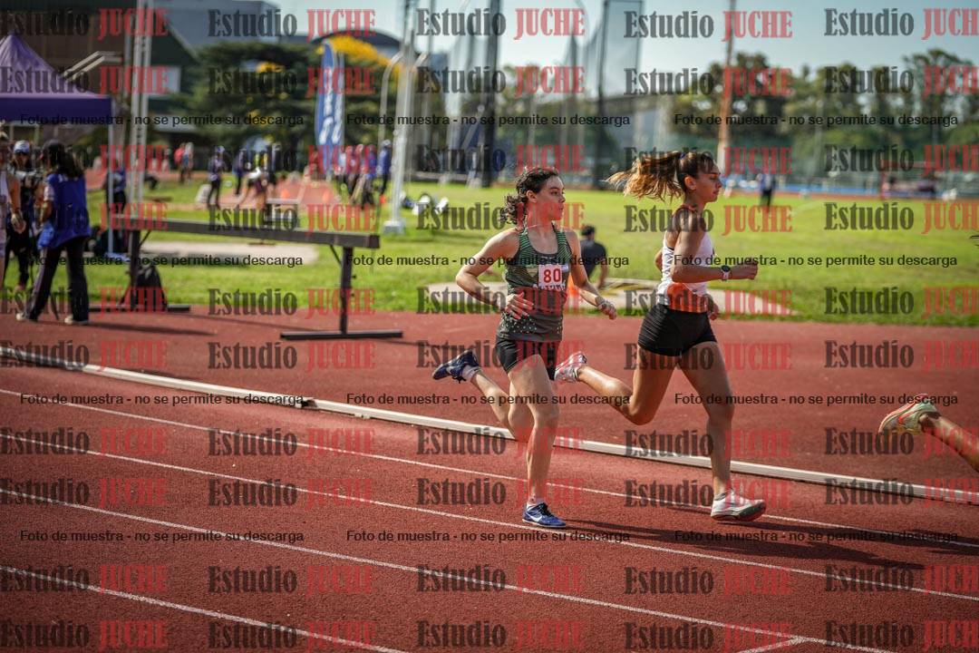 Fotos de los 800 m llanos de mujeres