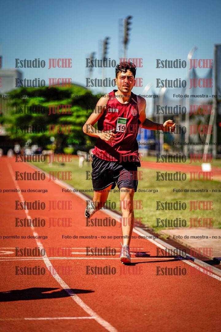 Fotos de los 800 m llanos de varones