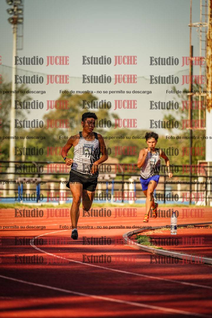 Fotos de los 800 m llanos de varones