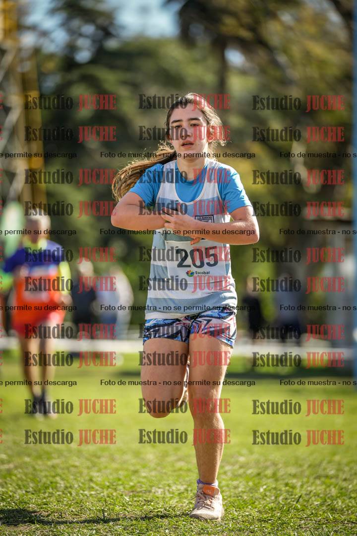 Fotos de la llegada del cross de 1500 m