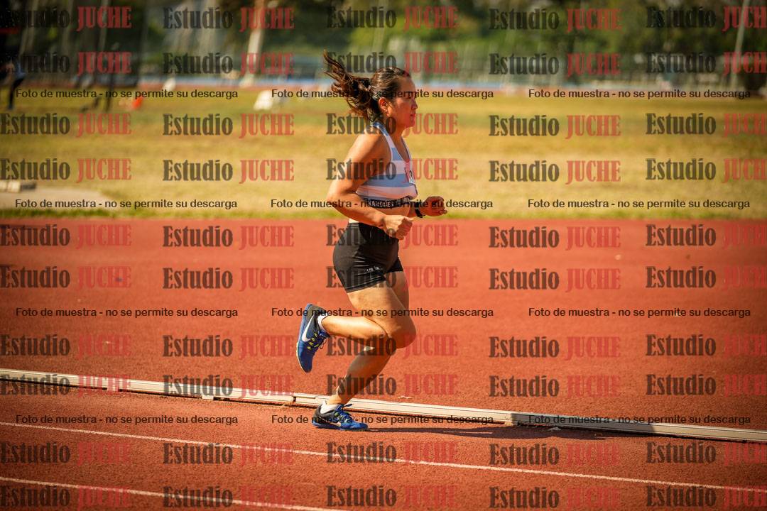 Fotos de los 800 m llanos de mujeres